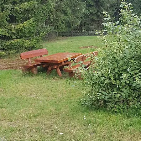 Dat-harzchen-mit-garage-und-wlan Sankt Andreasberg