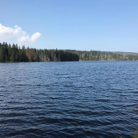 Dat-harzchen-mit-garage-und-wlan * Sankt Andreasberg