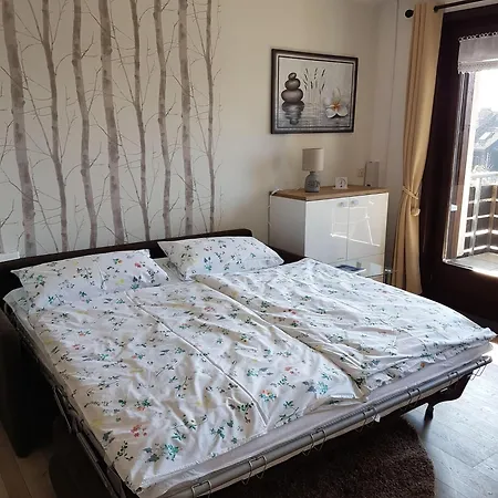 Dat-harzchen-mit-garage-und-wlan Appartement Sankt Andreasberg
