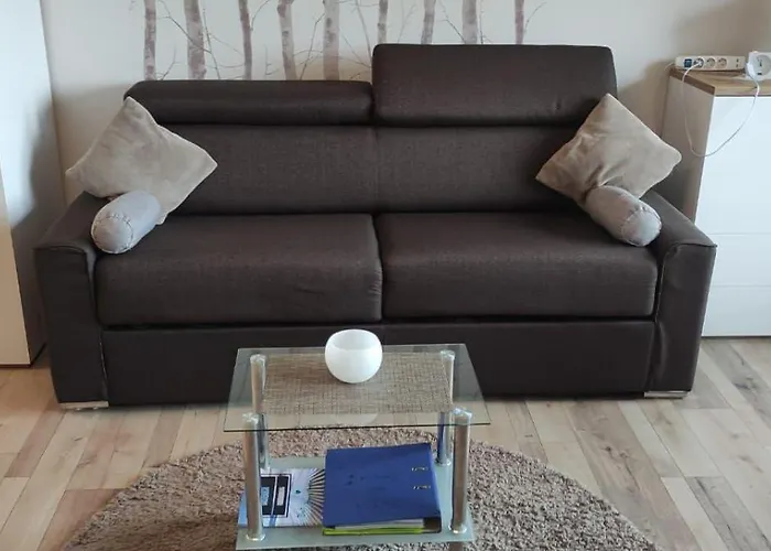 Dat-harzchen-mit-garage-und-wlan Sankt Andreasberg