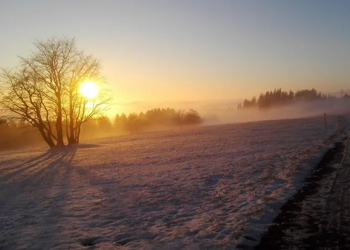 Daire Dat-harzchen-mit-garage-und-wlan