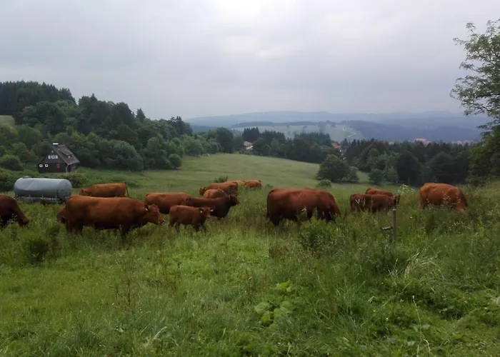 Dat-harzchen-mit-garage-und-wlan Daire *