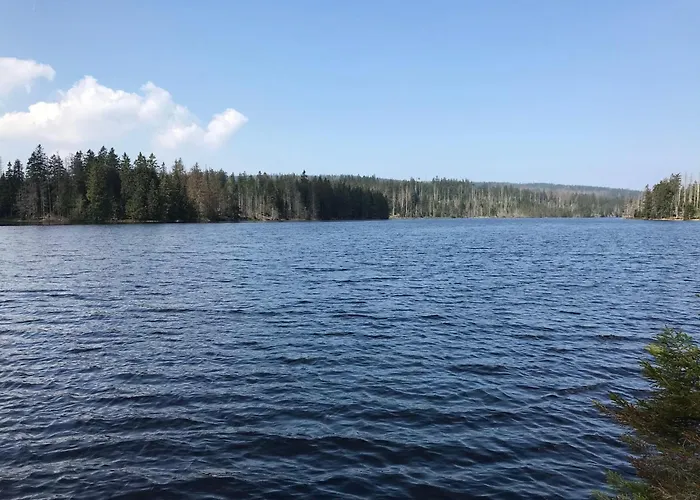 Dat-harzchen-mit-garage-und-wlan * Sankt Andreasberg