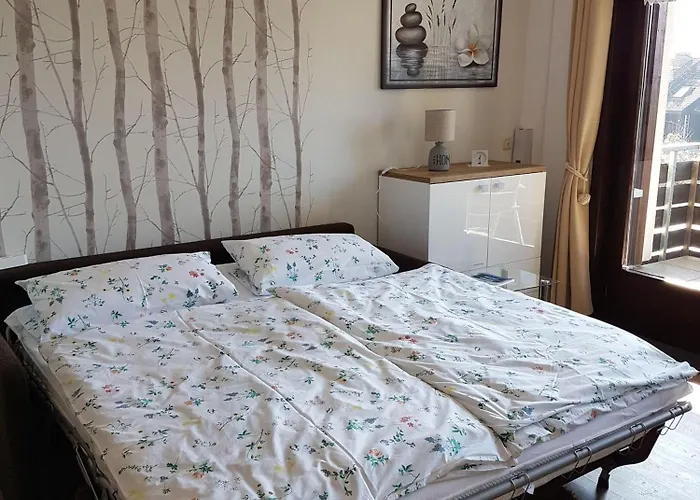 Dat-harzchen-mit-garage-und-wlan Daire Sankt Andreasberg